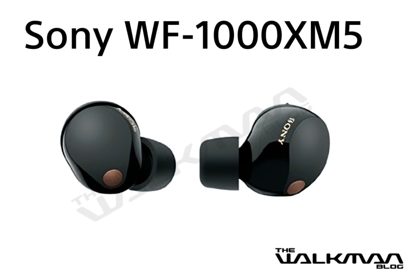 ソニーの最新ワイヤレスイヤホン「WF-1000XM5」画像がリークされスペックや発表日も明らかに